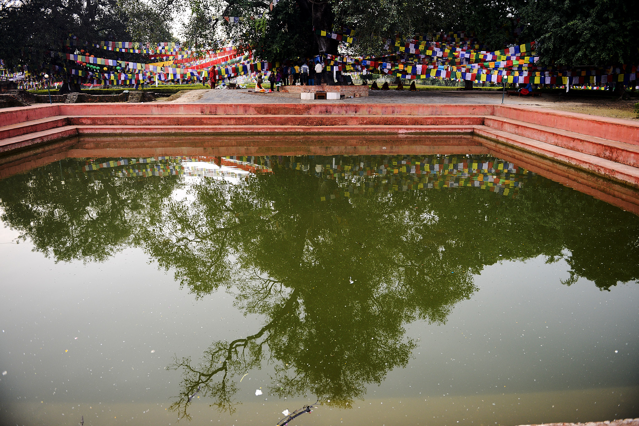 20140111 021 룸비니(부처 탄생지)